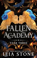 Fallen Academy: Year Three